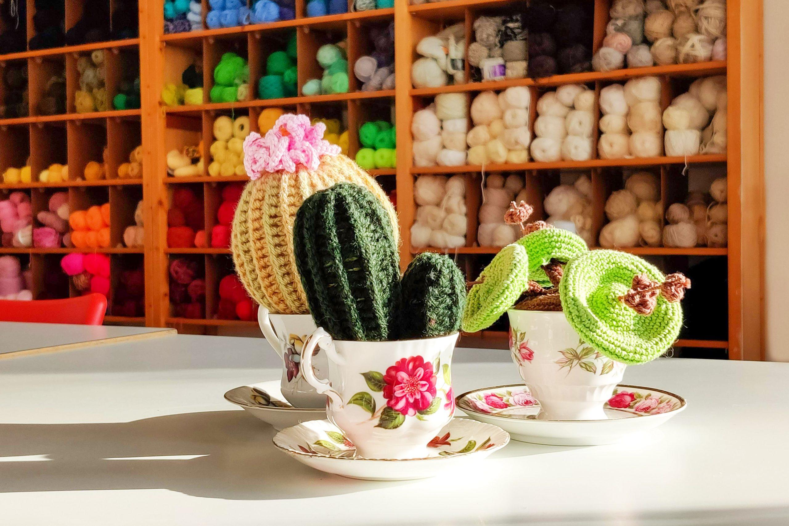 03Atelier 2_Gehaakte cactussen_IMG_20210125_110802